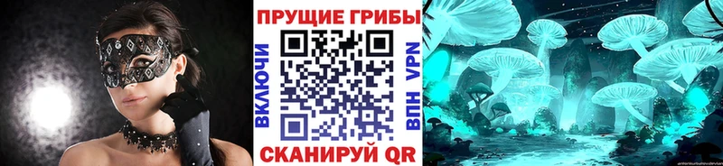 Псилоцибиновые грибы Cubensis  Алдан 
